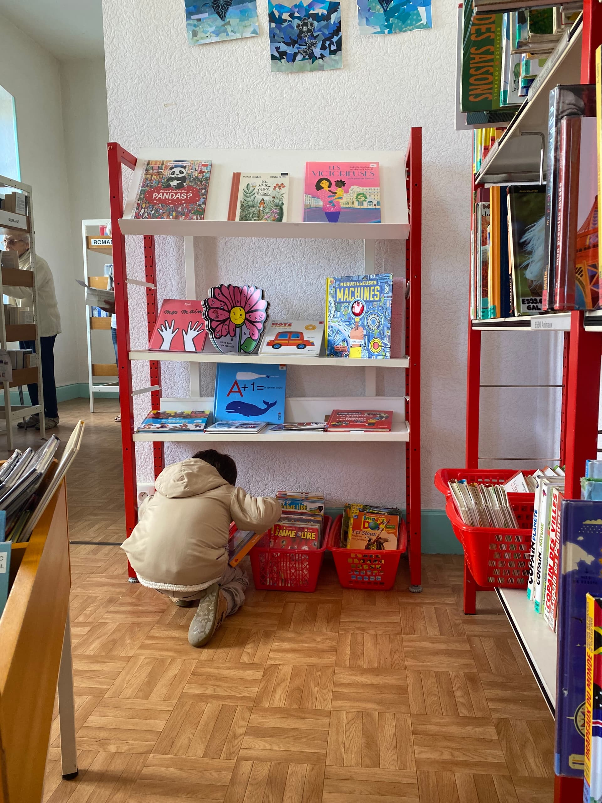 Rayon jeunesse de la bibliothèque du Grand-Serre